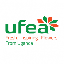 UFEA