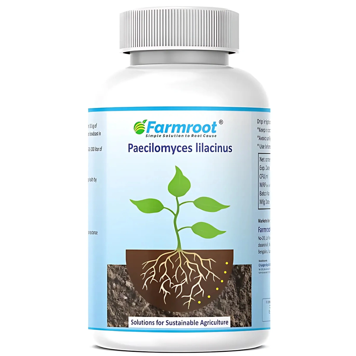 Paecilomyces lilacinus