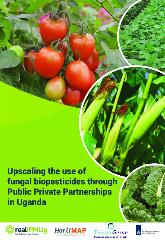 RealIPMug Booklet_CABBAGE Preview