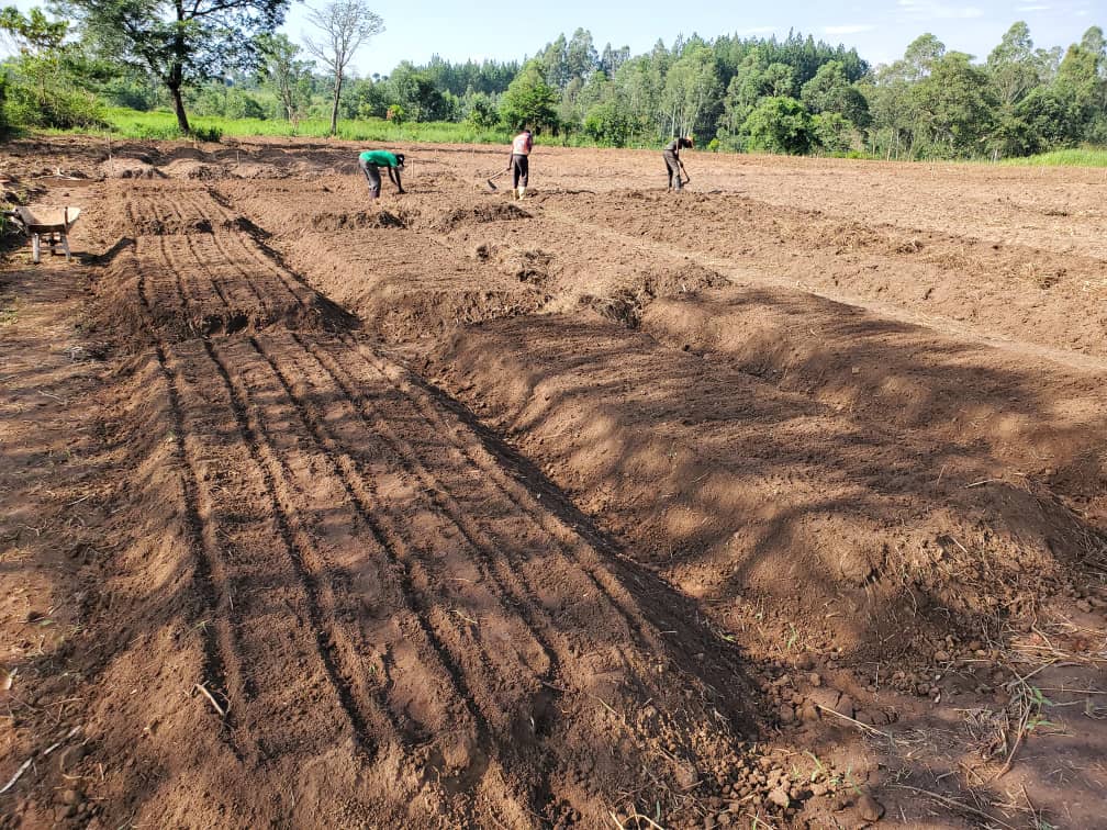 WhatsApp Image 2024-03-01 at 12.18.20 PM