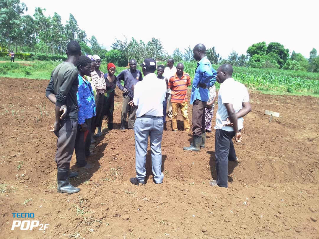 WhatsApp Image 2024-08-30 at 3.42.46 PM