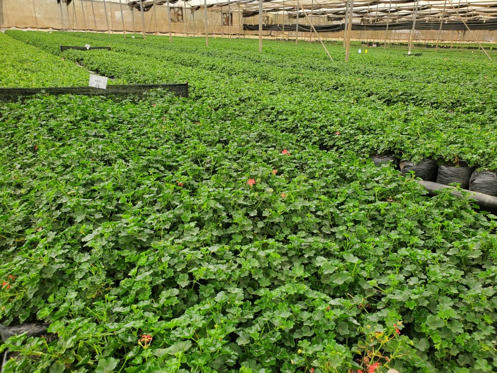 WhatsApp Image 2025-05-20 at 2.52.42 PM (1)