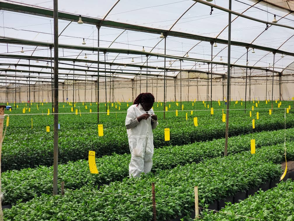 WhatsApp Image 2025-05-20 at 2.52.51 PM