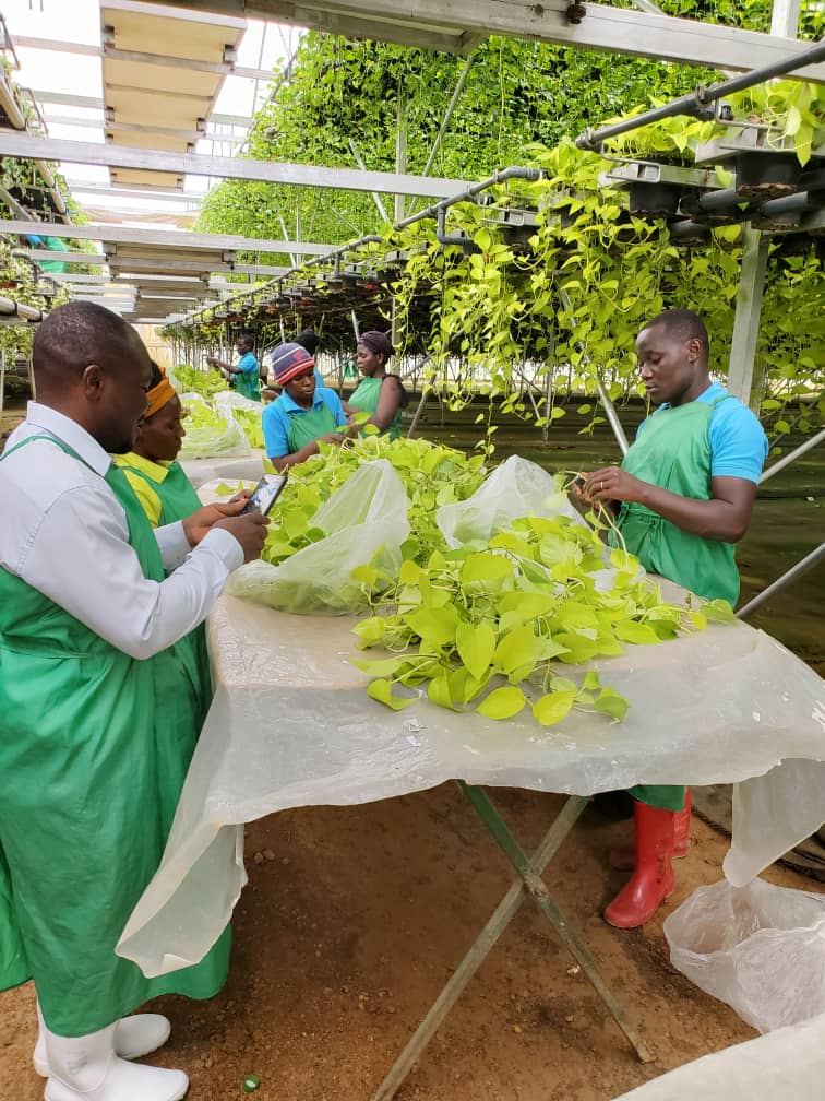 WhatsApp Image 2025-05-20 at 2.52.54 PM