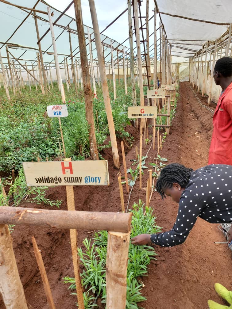 WhatsApp Image 2025-05-20 at 2.52.56 PM