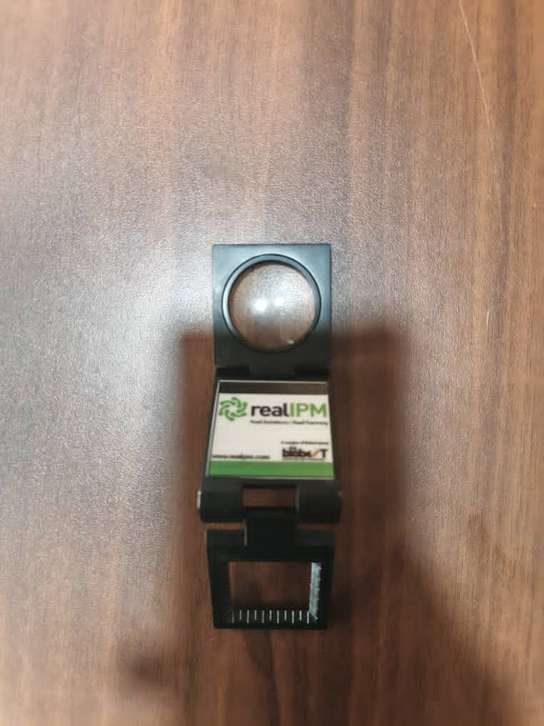 photo_2026-02-09_02-16-49 (2)