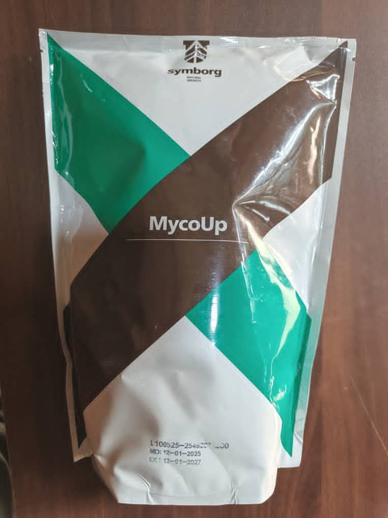 photo_2026-02-09_02-16-49 (3)