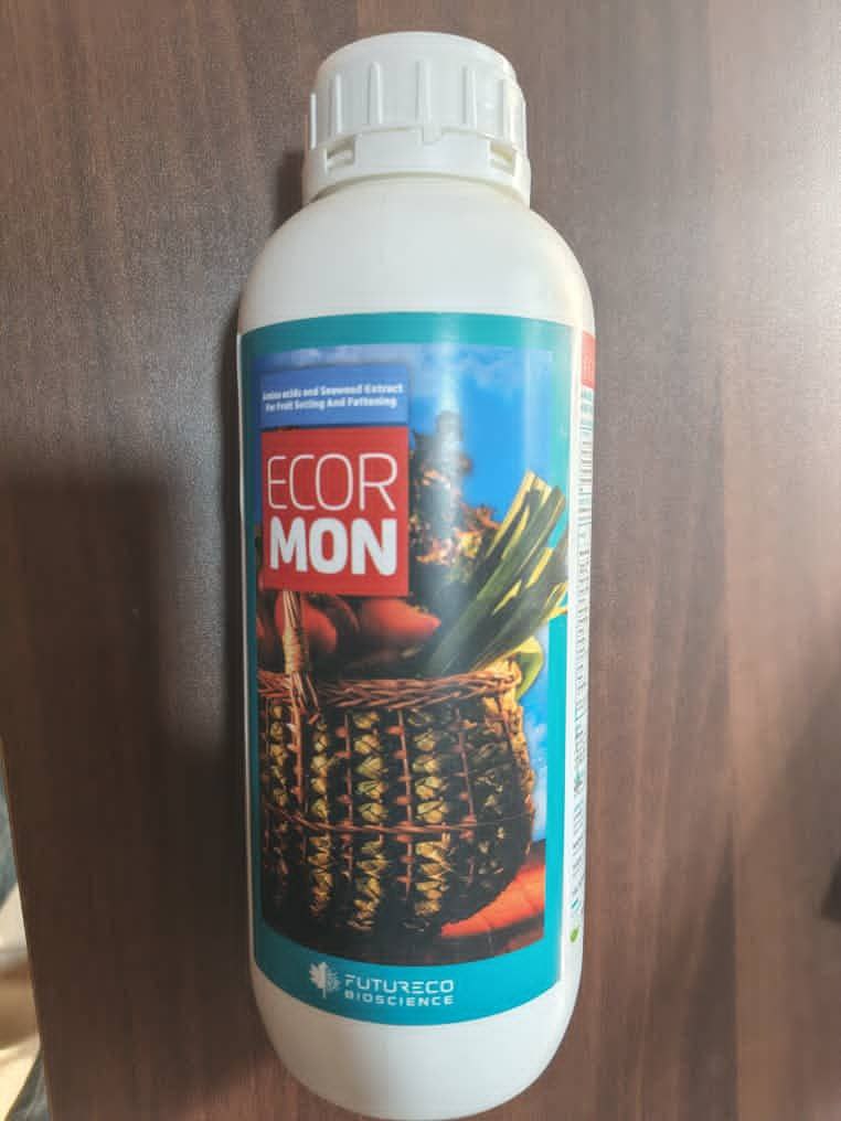 photo_2026-02-09_02-16-49