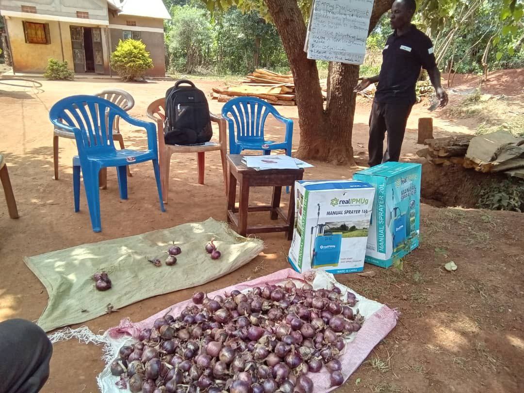 photo_2026-02-09_02-16-51